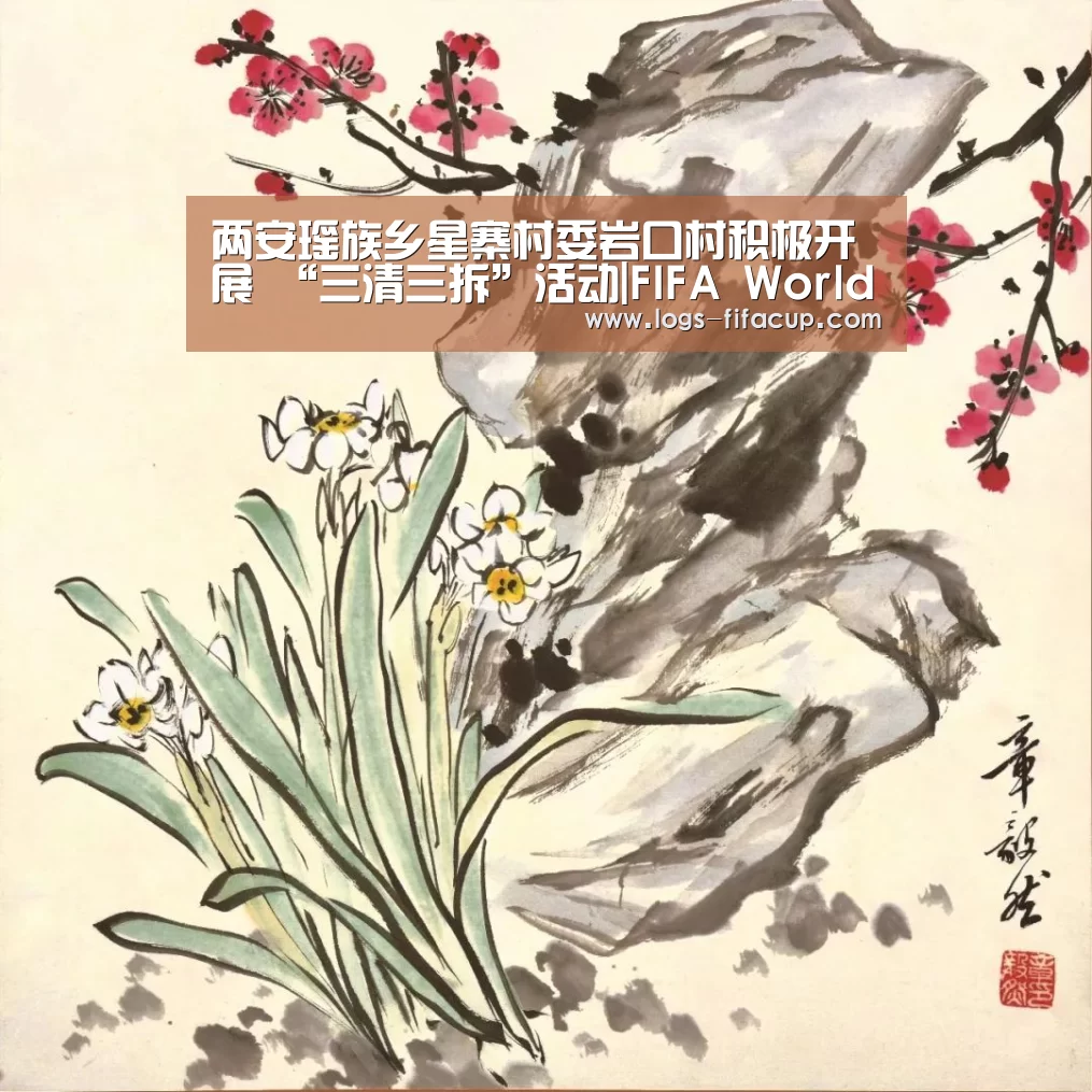 两安瑶族乡星寨村委岩口村积极开展 “三清三拆”活动|FIFA World Cup(图3) FIFA World Cup 2026™